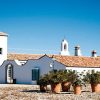 Visitas a bodegas