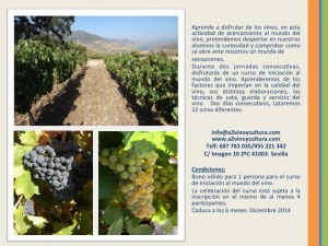 Bono regalo curso Inicación al mundo del vino