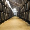 Visita a bodegas de Sevilla