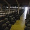 Visitas a bodegas de Jerez